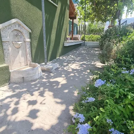 Olivendra Thassos Διαμέρισμα Πρίνος