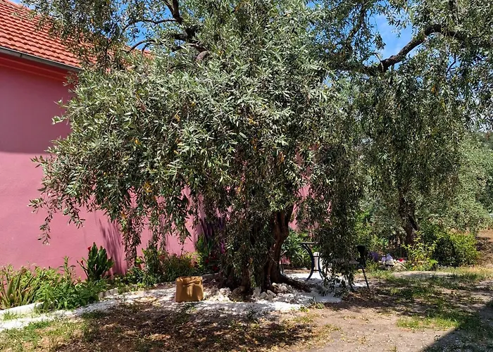 Elia Thassos Prínos